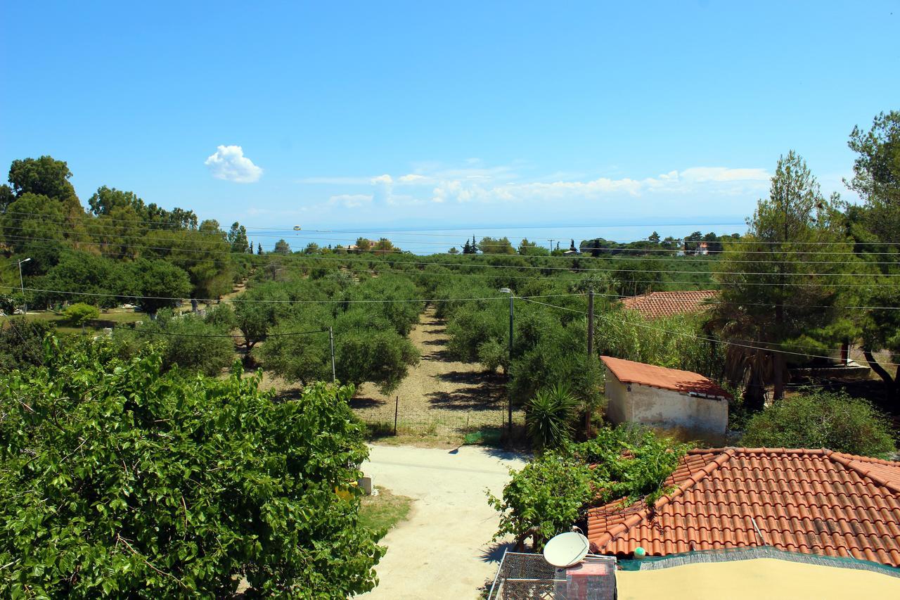 Zante Yliessa Lägenhet Vasilikí Exteriör bild
